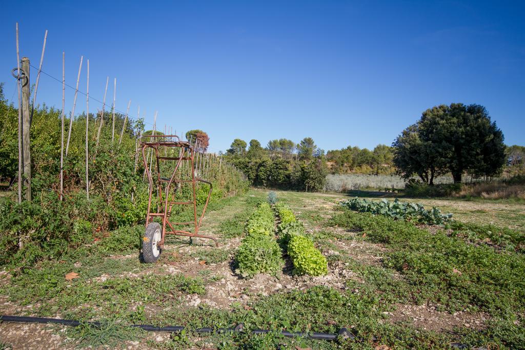 Les Residences De Metifiot Saint-Rémy-de-Provence Екстериор снимка
