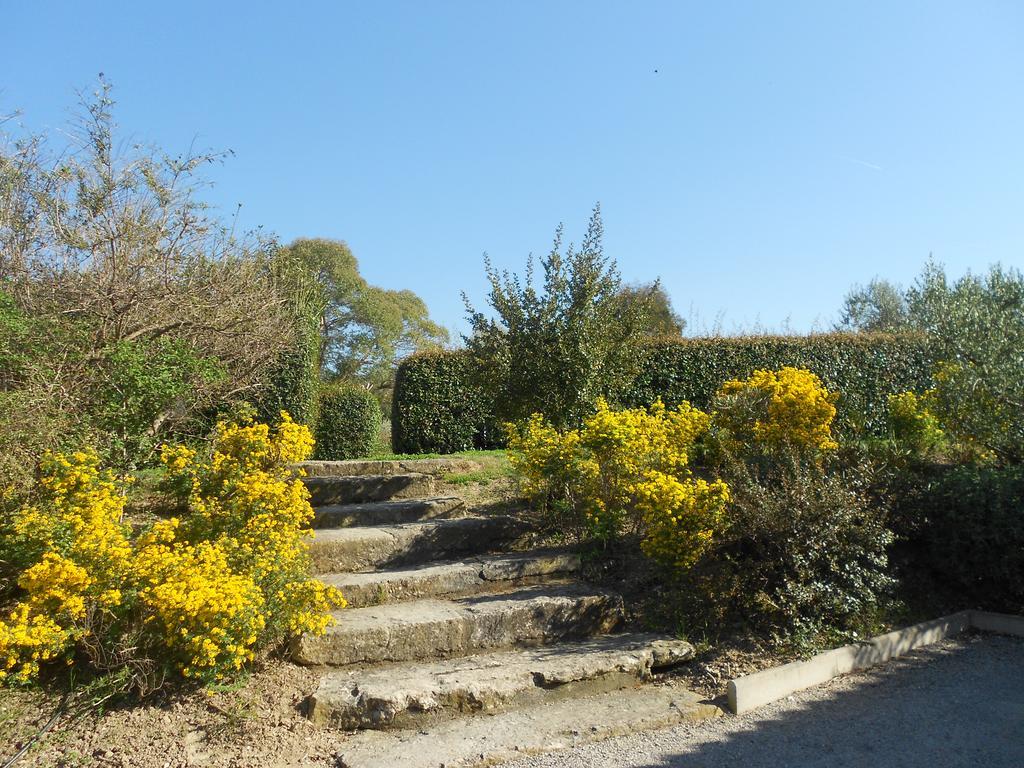 Les Residences De Metifiot Saint-Rémy-de-Provence Екстериор снимка