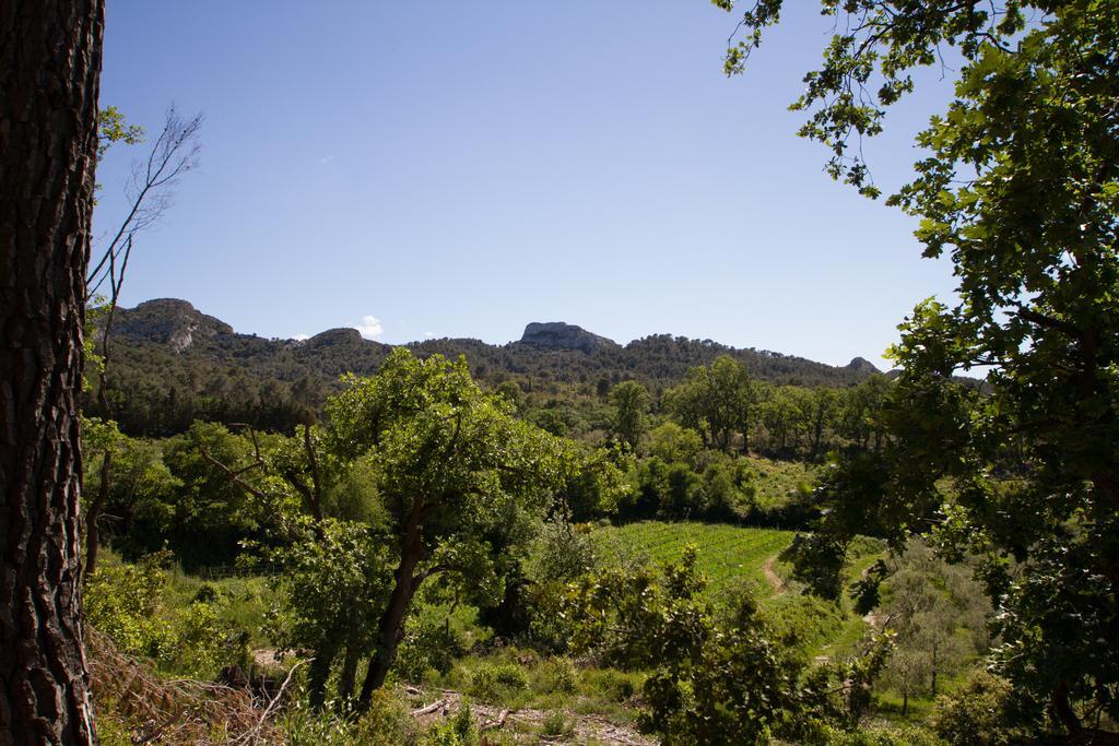 Les Residences De Metifiot Saint-Rémy-de-Provence Екстериор снимка